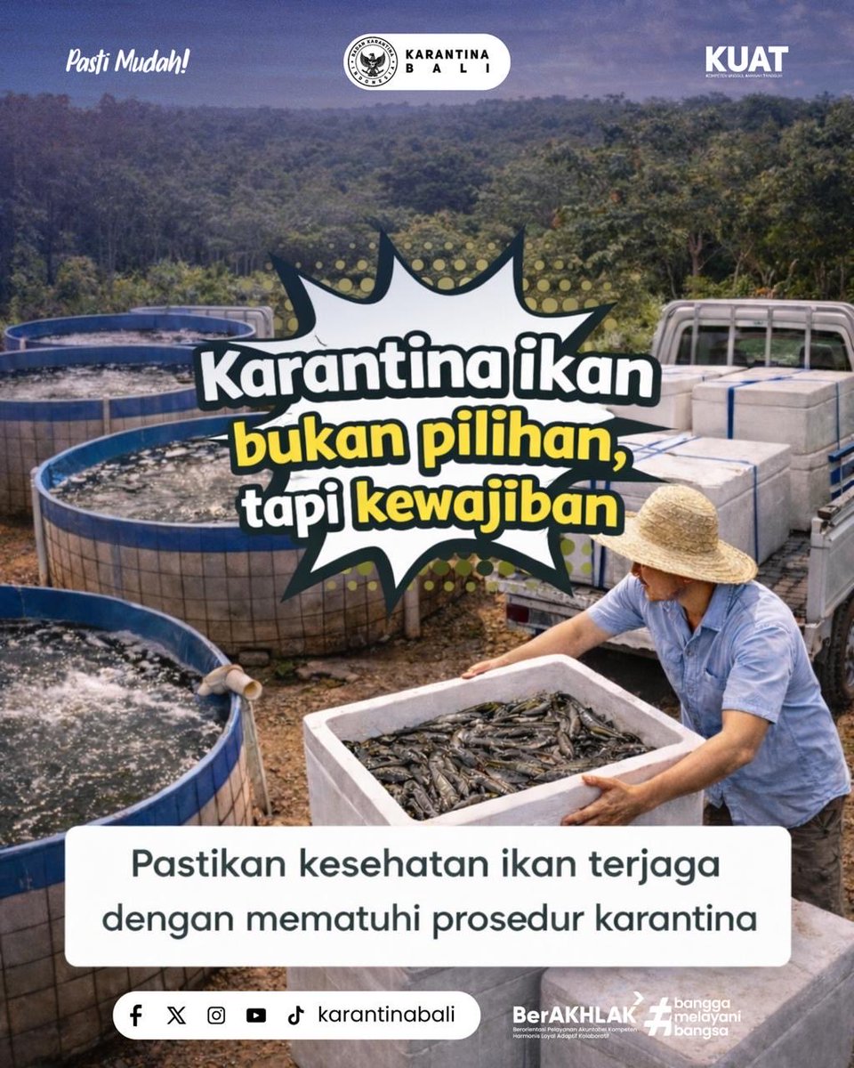 Halo Sobat Karantina...
Pernah dengar Mitos tentang Ikan Lele??
.
Yuk simak Mitos atau Fakta tentang Ikan Lele

#karantinabali 
#badankarantinaindonesia