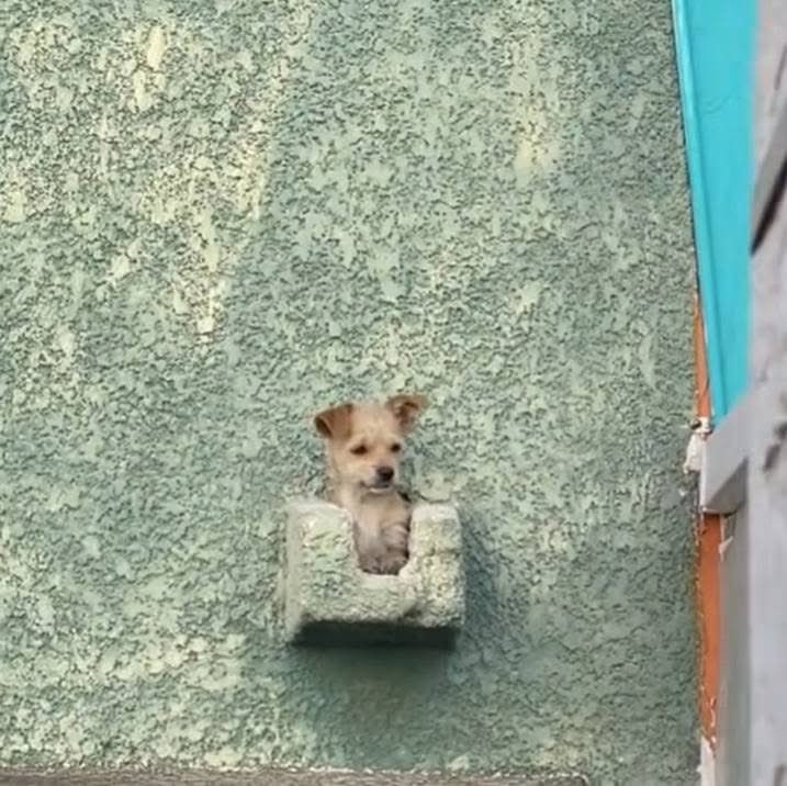 Tiene su balconcito 🥺