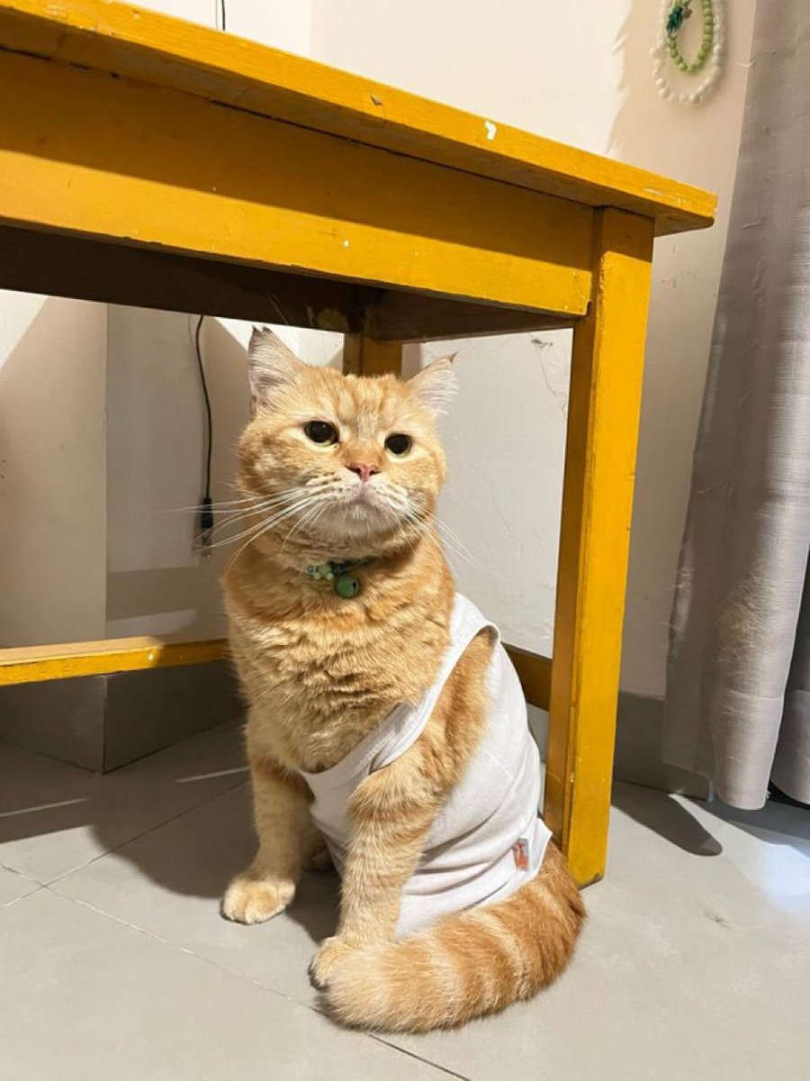 Aku gak suka seragam ini