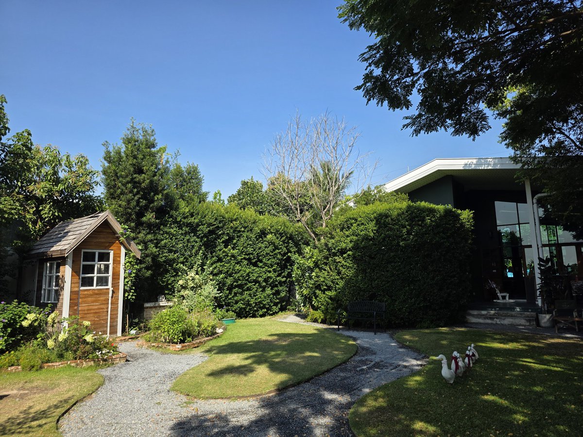 nitancafe's tweet image. ร้านหยุดปีใหม่ถึงพรุ่งนี้ครับ น้องนนท์คนสวนก็หยุดไปไหว้พระไหว้เจ้า เลยเชิญคนสวนมือใหม่แถวนี้มารดน้ำซะสายเลย

เจอกันวันที่ 9 มกราคมนะครับ ❤️🥰✨🌱