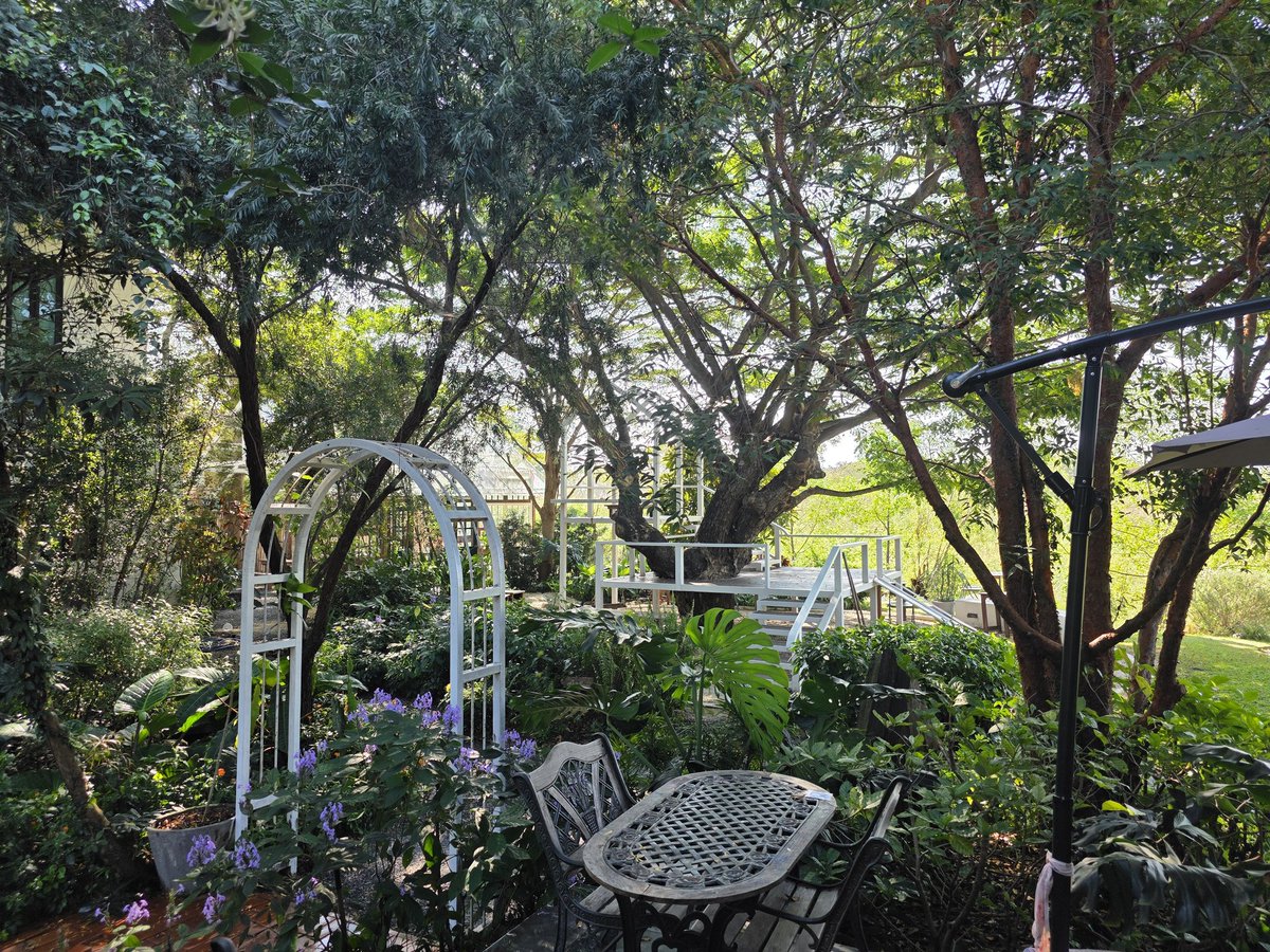 nitancafe's tweet image. ร้านหยุดปีใหม่ถึงพรุ่งนี้ครับ น้องนนท์คนสวนก็หยุดไปไหว้พระไหว้เจ้า เลยเชิญคนสวนมือใหม่แถวนี้มารดน้ำซะสายเลย

เจอกันวันที่ 9 มกราคมนะครับ ❤️🥰✨🌱