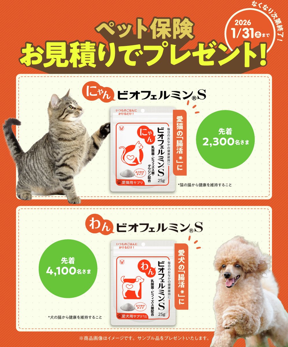 ペット保険 ＼お見積りキャンペーン開催中／ 📢期間限定・なくなり次第終了📢 アイペット損保にてペット保険のお見積りをされたお客さま【全員】を対象に、  🎁先着で🎁 「わんビオフェルミンS」または「にゃんビオフェルミンS」のサンプルをプレゼント♪ #アイペット #ipet
