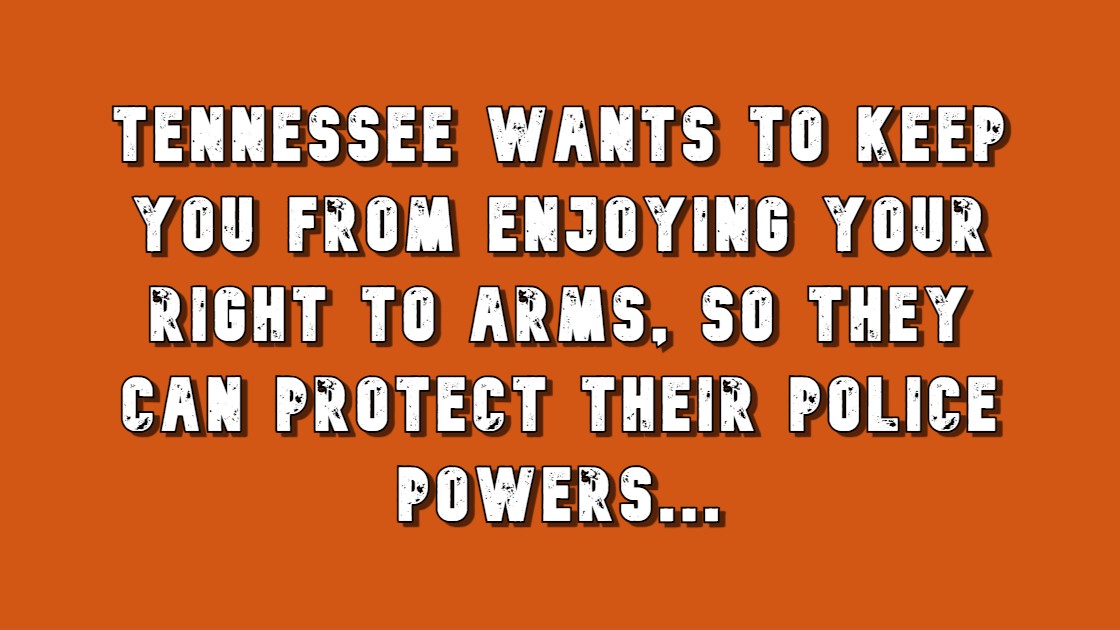 State's Brief in Hughes v. Lee Order Appeal open.substack.com/pub/crichardar…