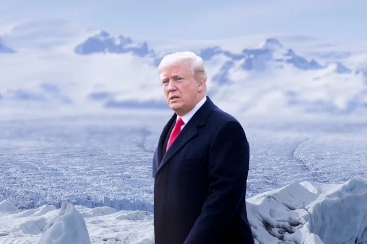 Little Think Tank tweet media