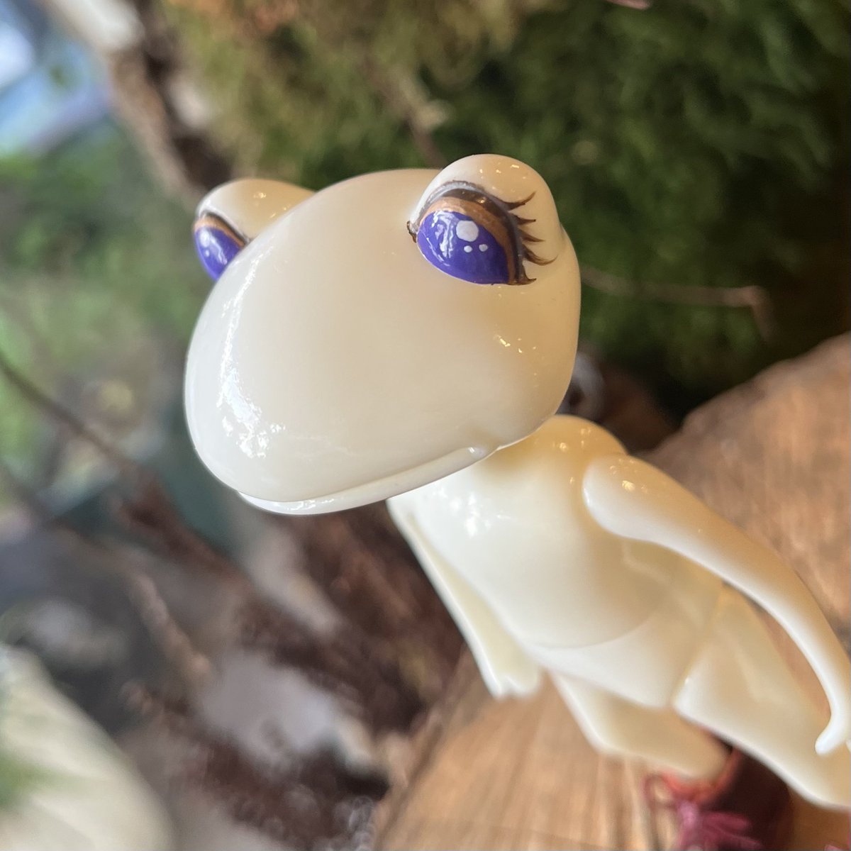 🎍本日夜！新春福袋のオンライン販売スタート🎍

美しい瞳がチャームポイントの福袋限定フレンド＋福袋記念さいとーT、KENZO特製ミニワンダ鏡餅に加え販売中の限定フレンドや過去の蔵出しドールが入った超お得なセットです🐸✨
数量限定なのでお早めに🎁

𝗢𝗡𝗟𝗜𝗡𝗘 𝗦𝗧𝗢𝗥𝗘 𝟭/𝟳 𝟮𝟭:𝟬𝟬-