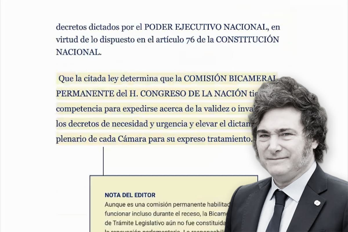LANACION's tweet image. El decreto de la SIDE que firmó Milei: detenciones sin juez, el nuevo rol para las FFAA y el secreto como regla a.ln.com.ar/4qKTs8o