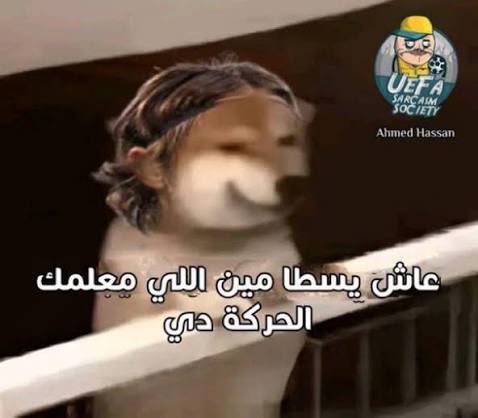 عمر مدنيه tweet media