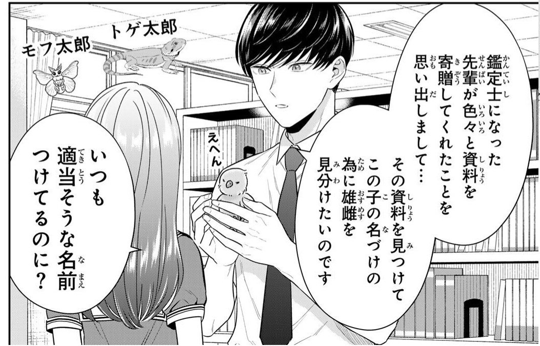 「せいぶつ部の田辺くん」、作中に出てくる生き物たちの喋りも可愛いと評判です🫶🦎🐣🐹

https://t.co/Ww7UK98Cnm 
