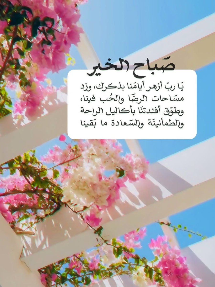 wafika( وفيقة) (@wafikaadil) on Twitter photo 