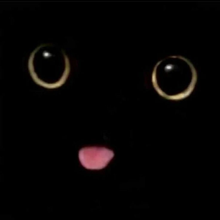 Moonlighting_79's tweet image. &amp;lt;☆Wating for it all to heal before cuting again because it takes forever sorry yall :[ ☆&amp;gt;#shtwt