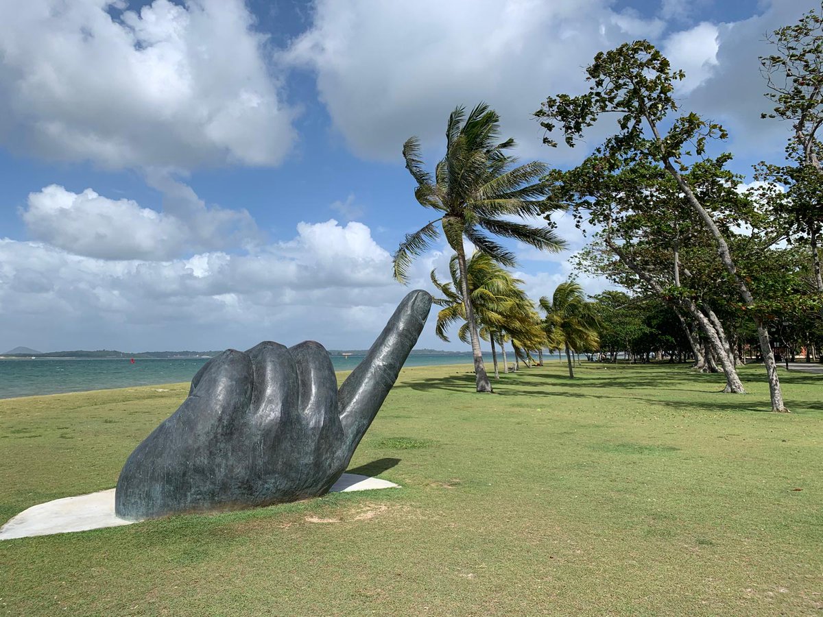 The Tiger Moth Review tweet media