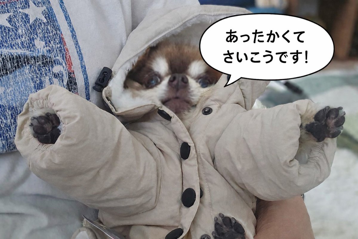 チャッピー様リクエスト作品『いぬづくし』 お友達のチャッピーがセリフつけてくれた