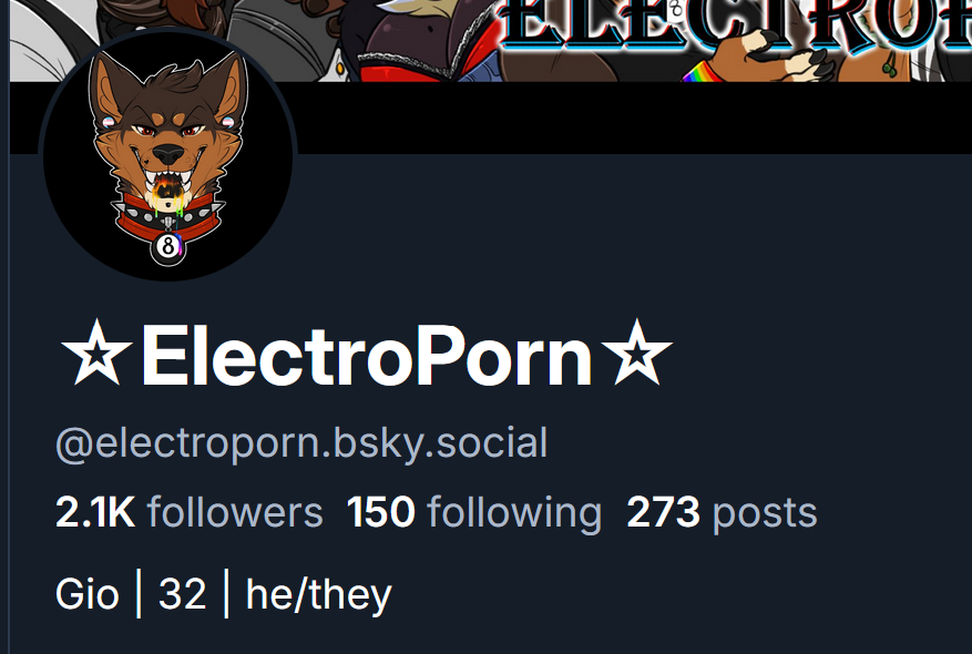 @electroporn.bsky.social tweet media