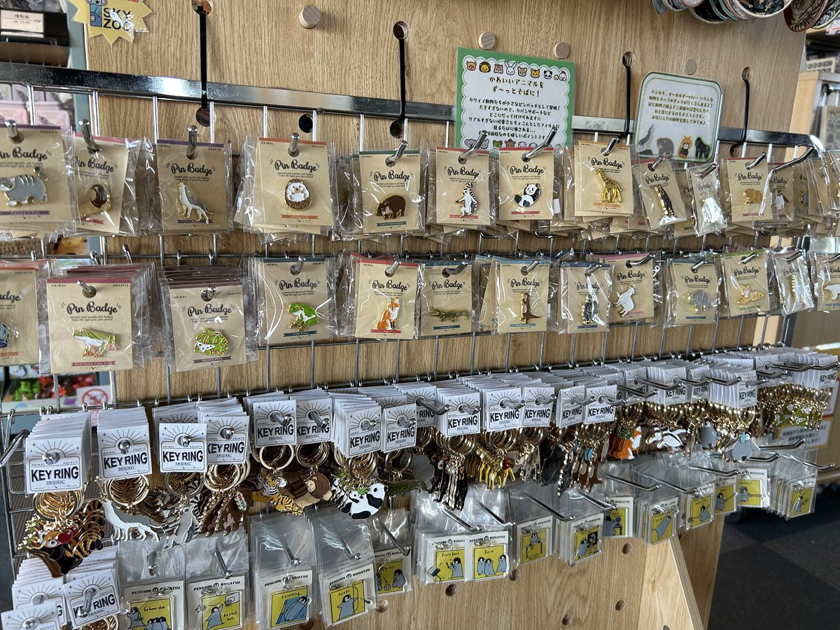 こんにちは🌞 お土産にオススメのピンバッジのご紹介です！ ちっちゃめ