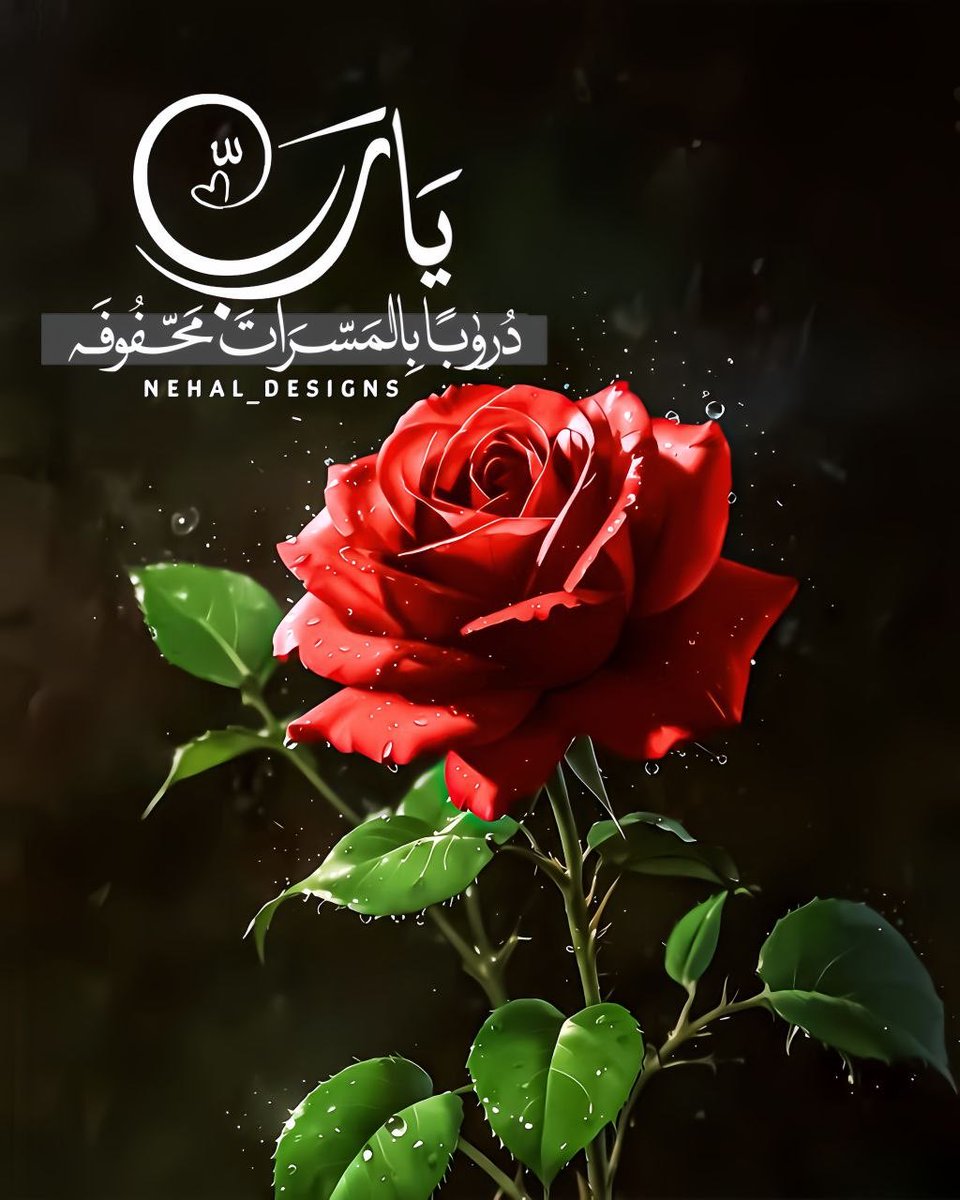 wafika( وفيقة) (@wafikaadil) on Twitter photo 