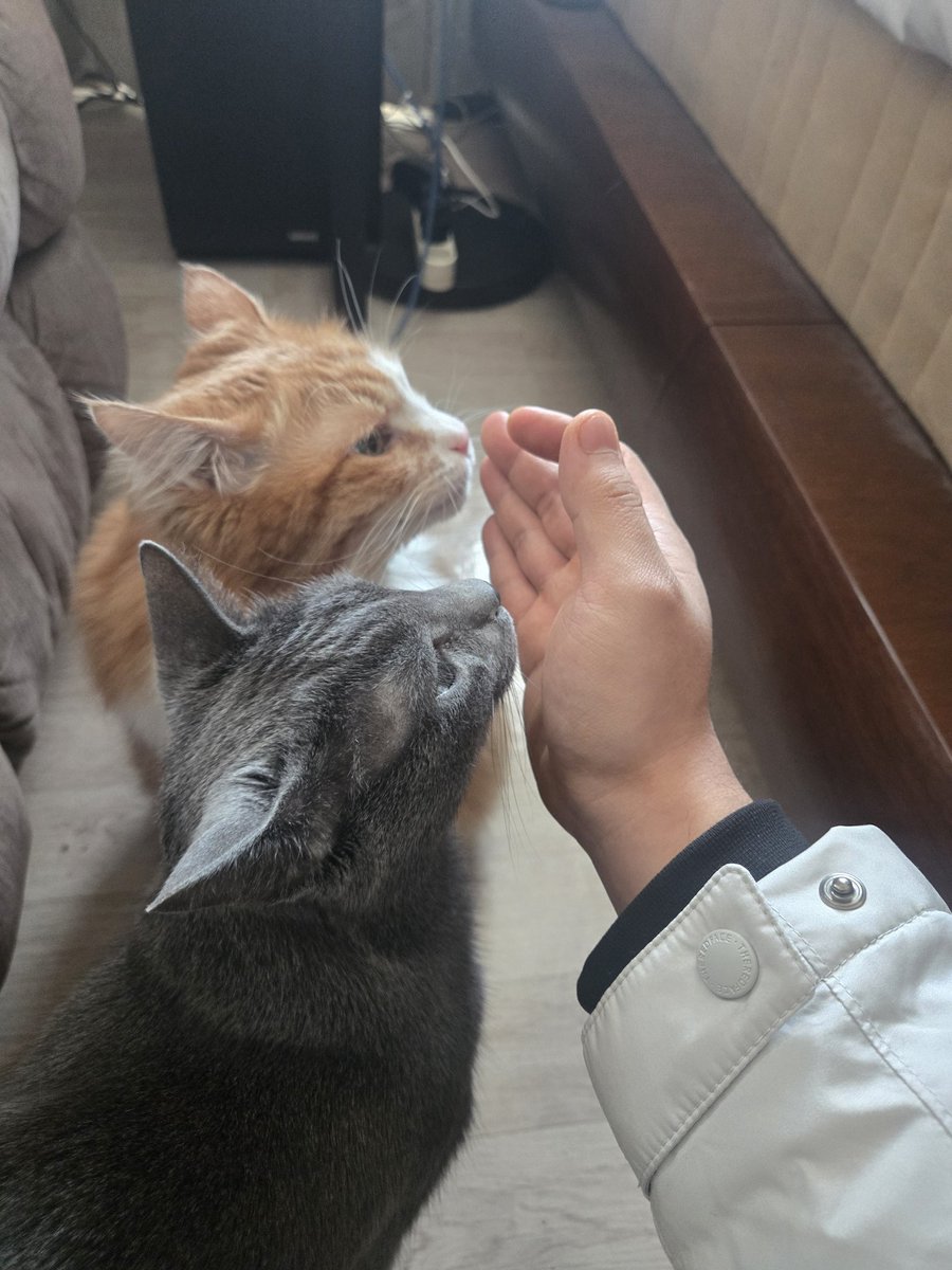 旭潮 (@layrical) on Twitter photo 