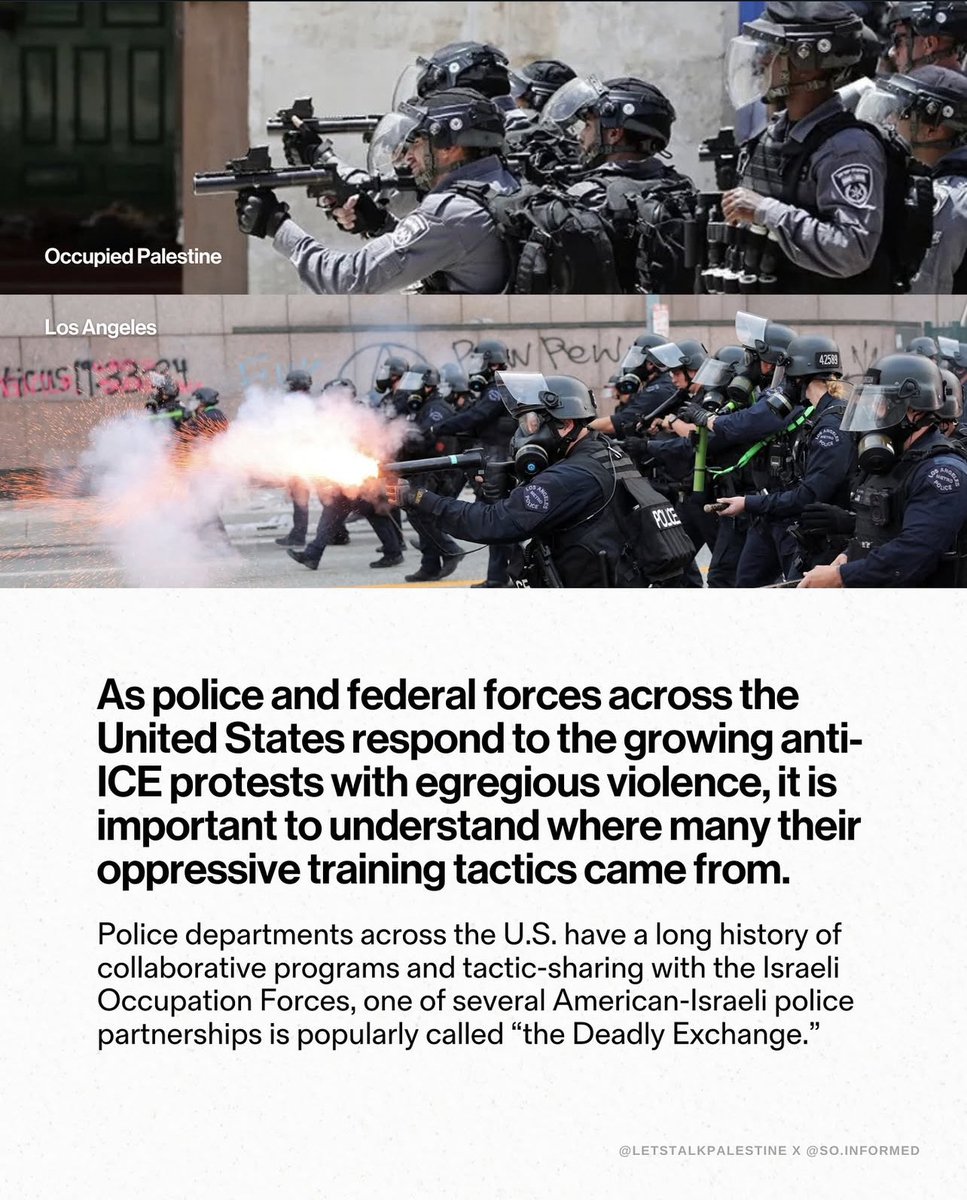 Everyone's Here tweet media