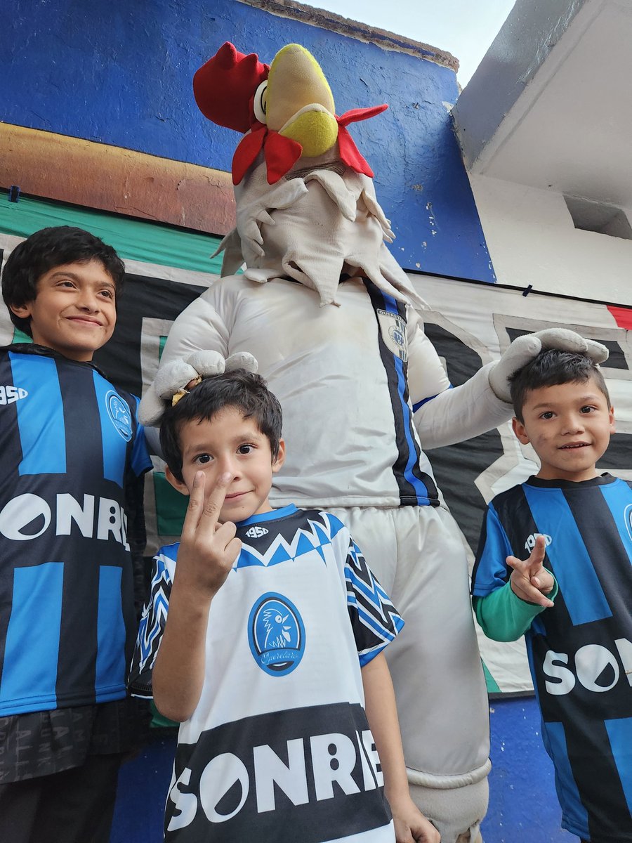 BUENOS DESEOS! PENSAMIENTOS ELEVADOS! SENTIMIENTOS PUROS! Y LA MEJOR ACTITUD. 

UN RECUERDO QUE SE QUEDA PARA SIEMPRE

Gracias al apoyo de TODOS los REYES GALLOS  regalaron hoy 200 jerseys a nuestros gallitos. 

LOS REYES GALLOS 2026 

 1950   Pinacoteca 1983 @carnaval_albiazul