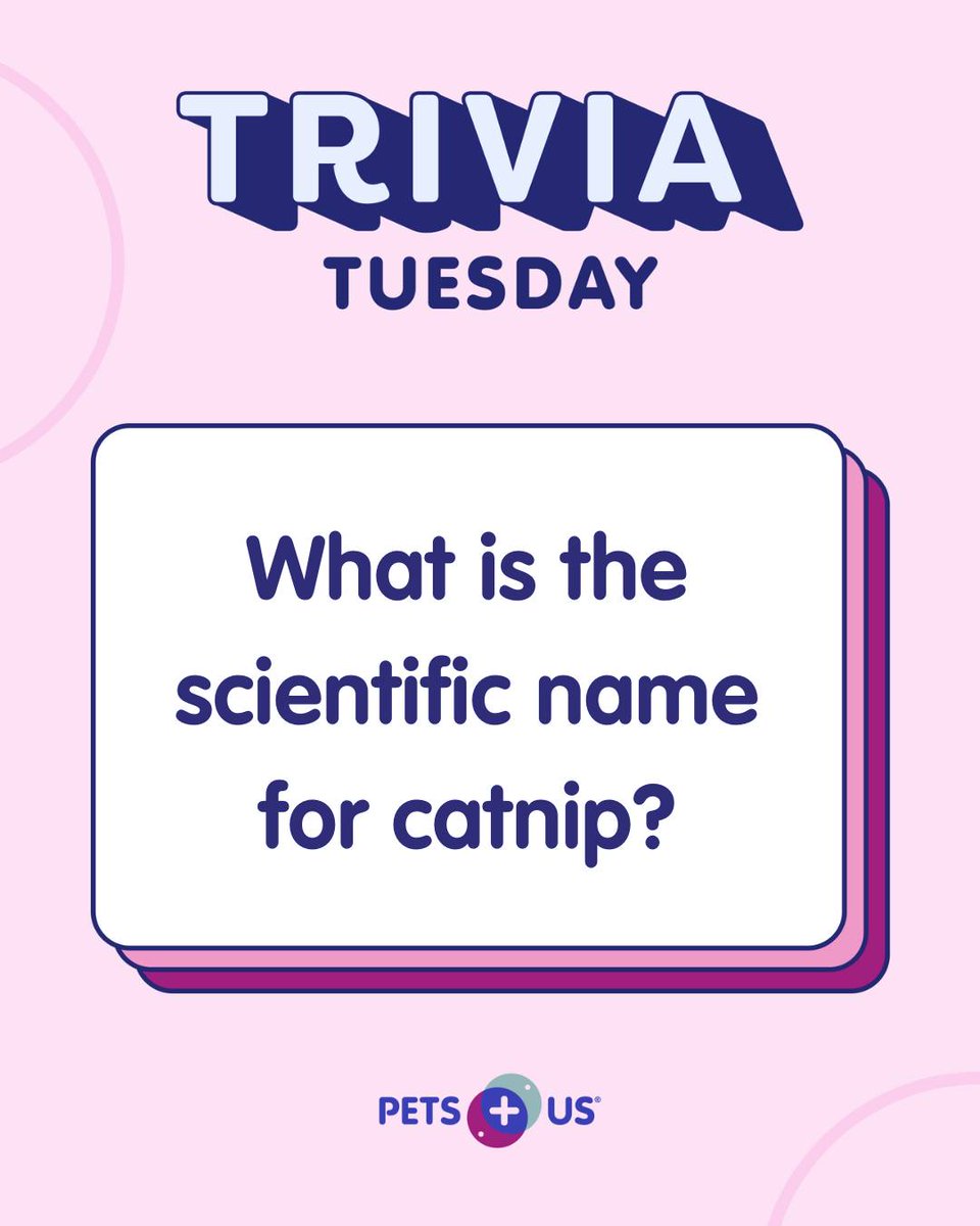 Pets Plus Us tweet media