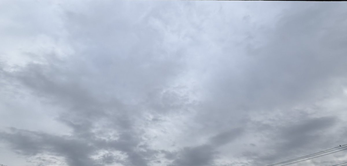 おはようございます
今日は旦那と息子氏のお弁当撮り忘れました
ベランダからの写真です
寒いですね
ぼちぼちいきましょう…