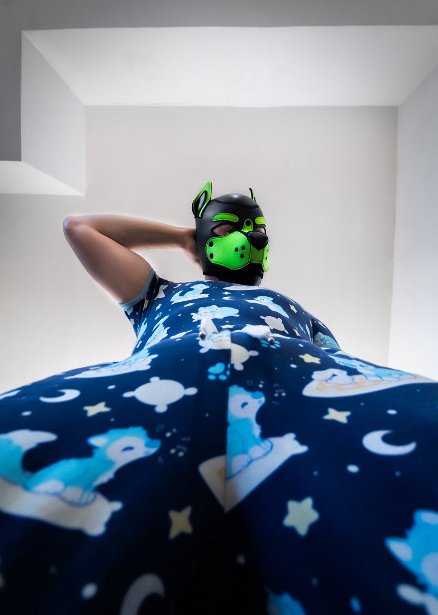 Pup_Croco tweet media