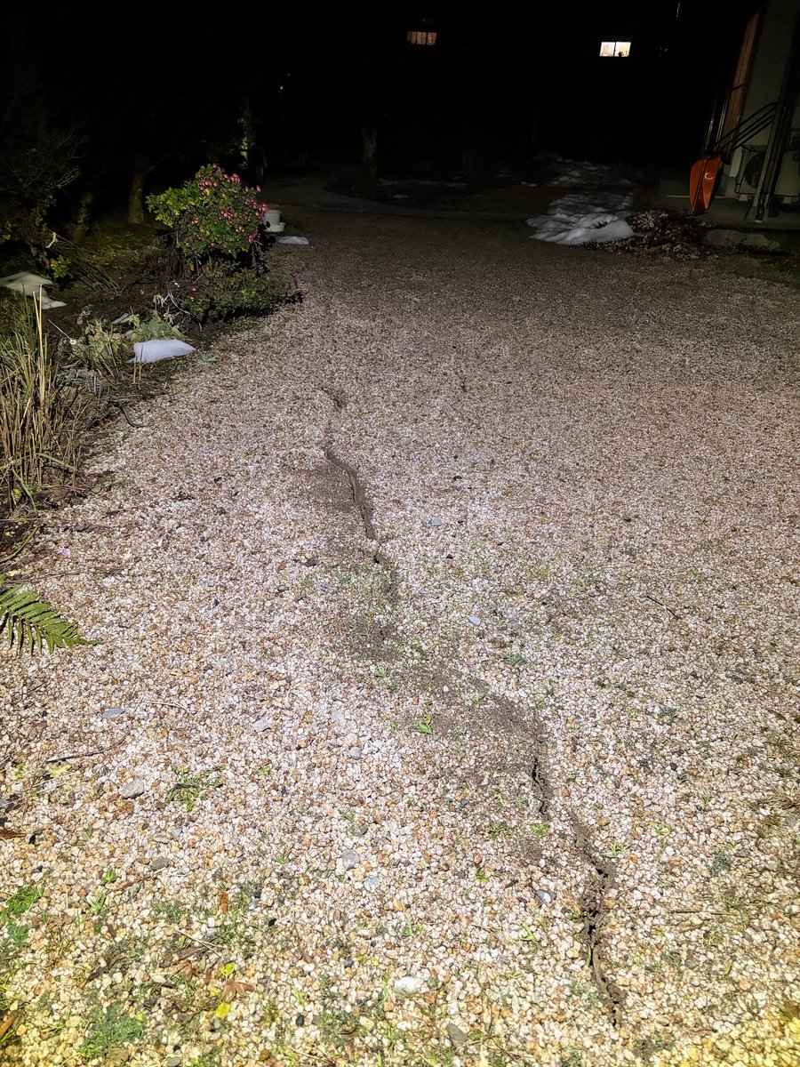 greenmachine001's tweet photo. 地震の影響で庭が細胞分裂を始めた模様…✂️

#島根県
#鳥取県
#地震 https://t.co/RiQQjpj6H8