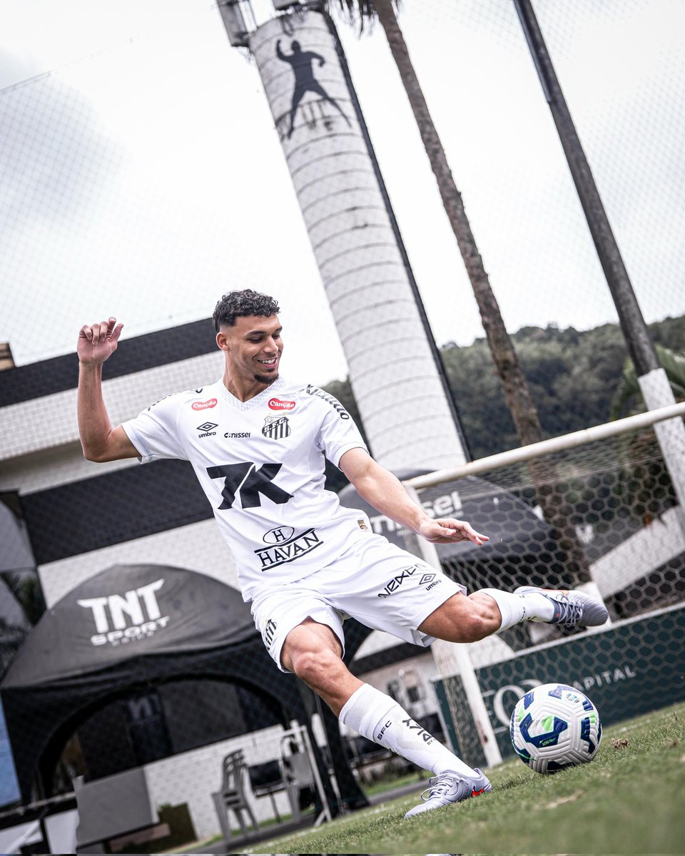 Canal do Tanaka tweet media