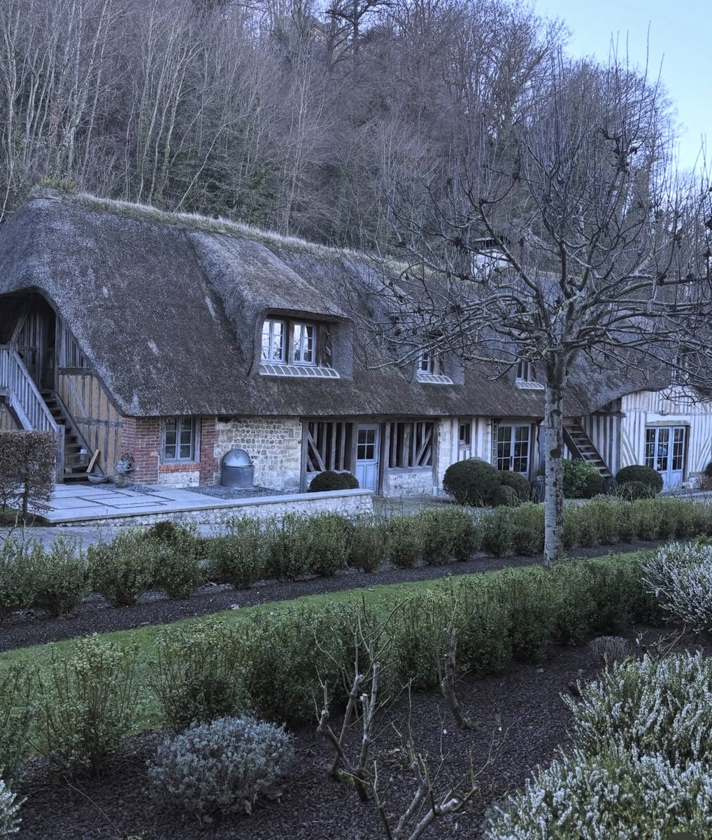 lisa kim tweet media