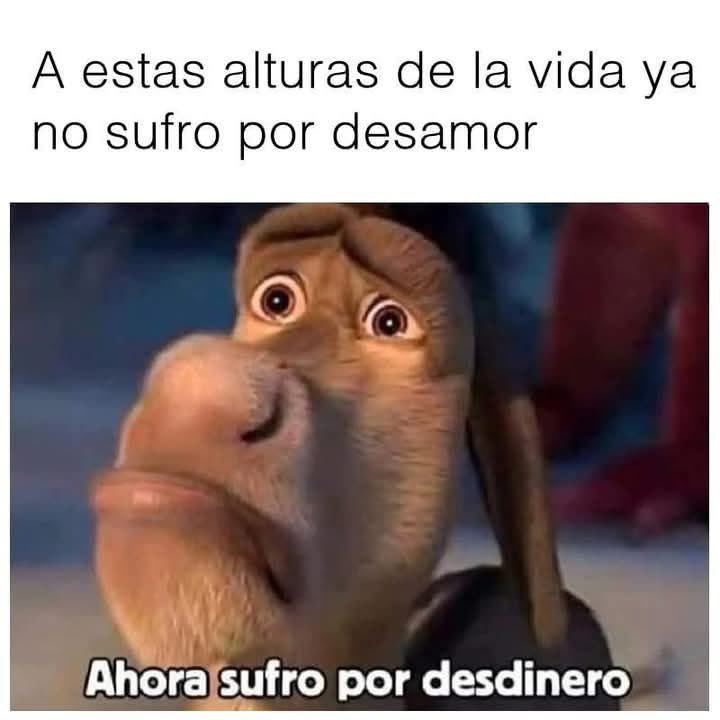 El Meme (@memessv7) on Twitter photo 