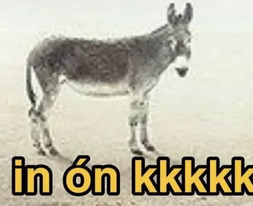 ttpdguilty's tweet image. tu