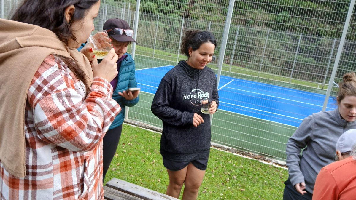 MadeiraWF's tweet photo. Here's to many more sessions like this in 2026! 🥳

#LadiesWalkingFootball #MadeiraWalkingFootball #HappyNewYear2026 #WomenInSport #WalkingFootball  #CommunitySpirit #FootballForAll https://t.co/sySYzF0evv