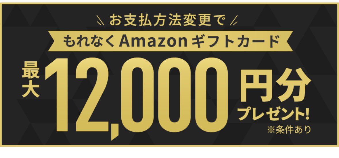 りゆう@ポイ活とカメが大好きな最北投資 tweet media