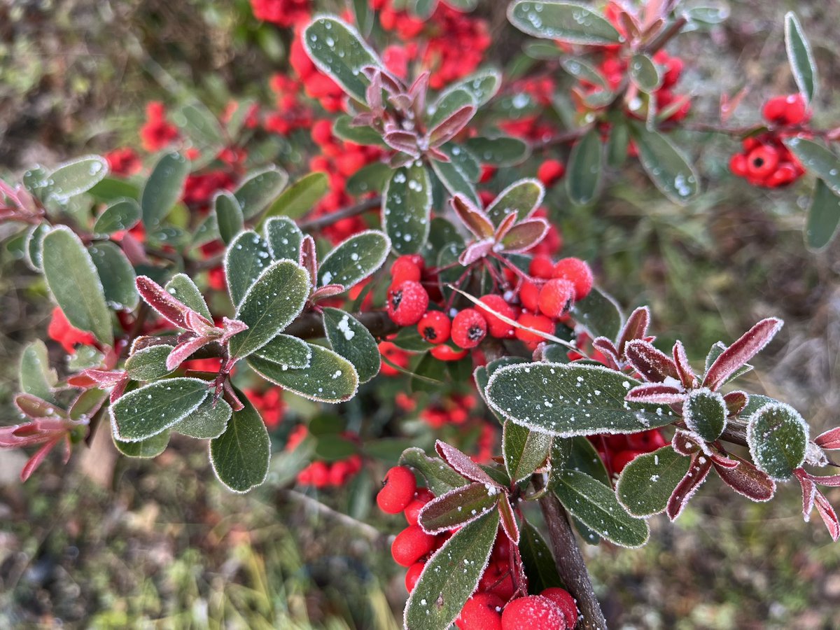 miyu✧ページ It's them