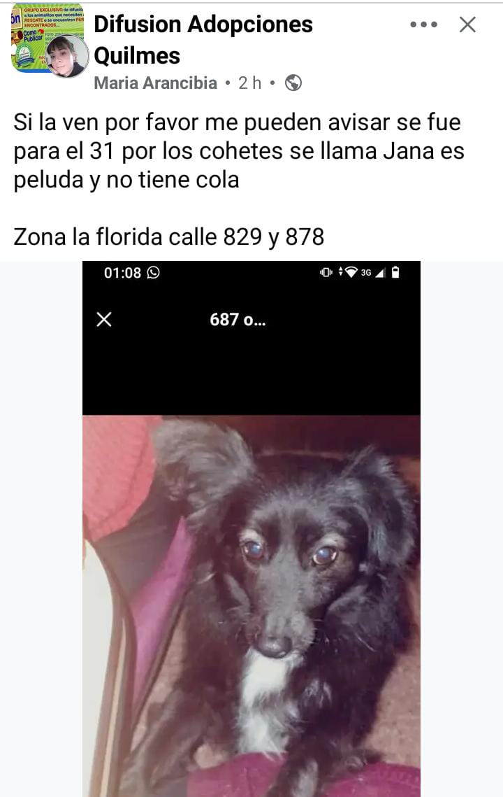 Buscan a Jana, perdida en el Barrio Villa La Florida de Quilmes ~ La Mirada de Quilmes Oeste lamiradadequilmesoeste.blogspot.com/2026/01/buscan…