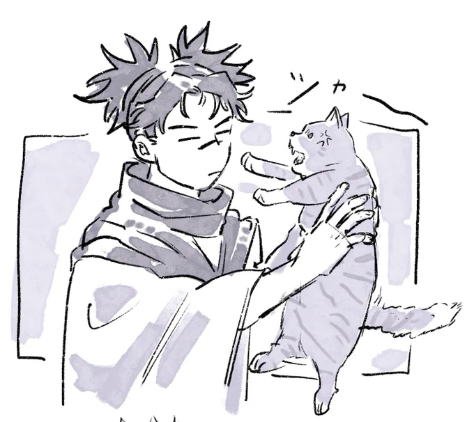 🐈 
