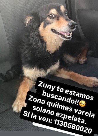 miradaenquilmes's tweet image. Continúa la desesperada búsqueda de Zuny ~ La Mirada de Quilmes Oeste lamiradadequilmesoeste.blogspot.com/2026/01/contin…