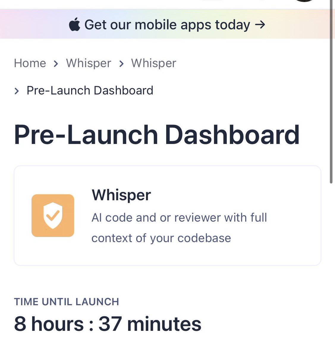 Al-ameen tweet media