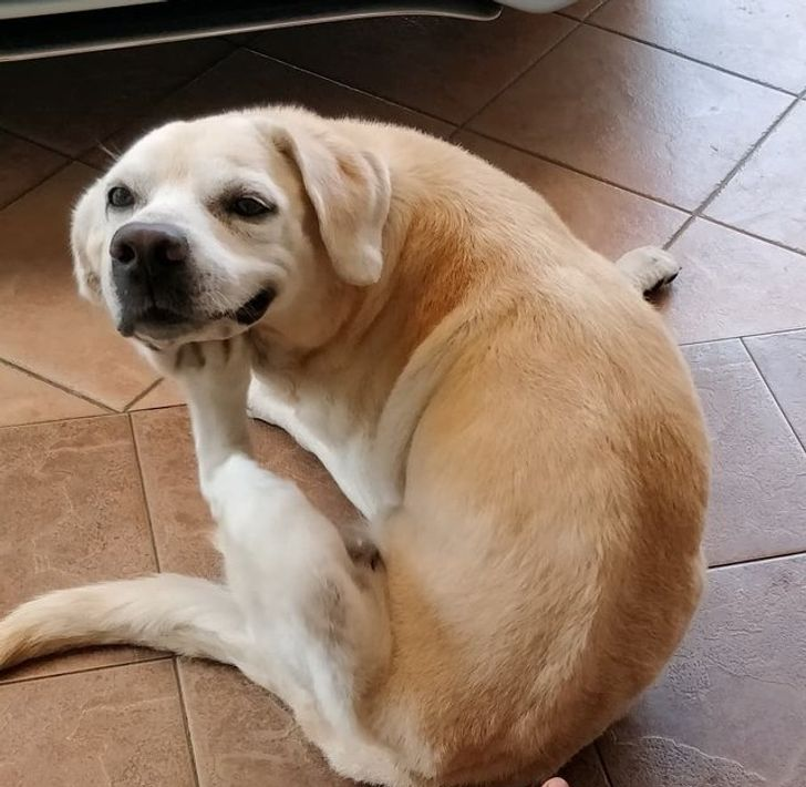 Guys, please answer seriusly, or just answer. Are my prices higth?...should i lowering them?...
🤔🤔🤔