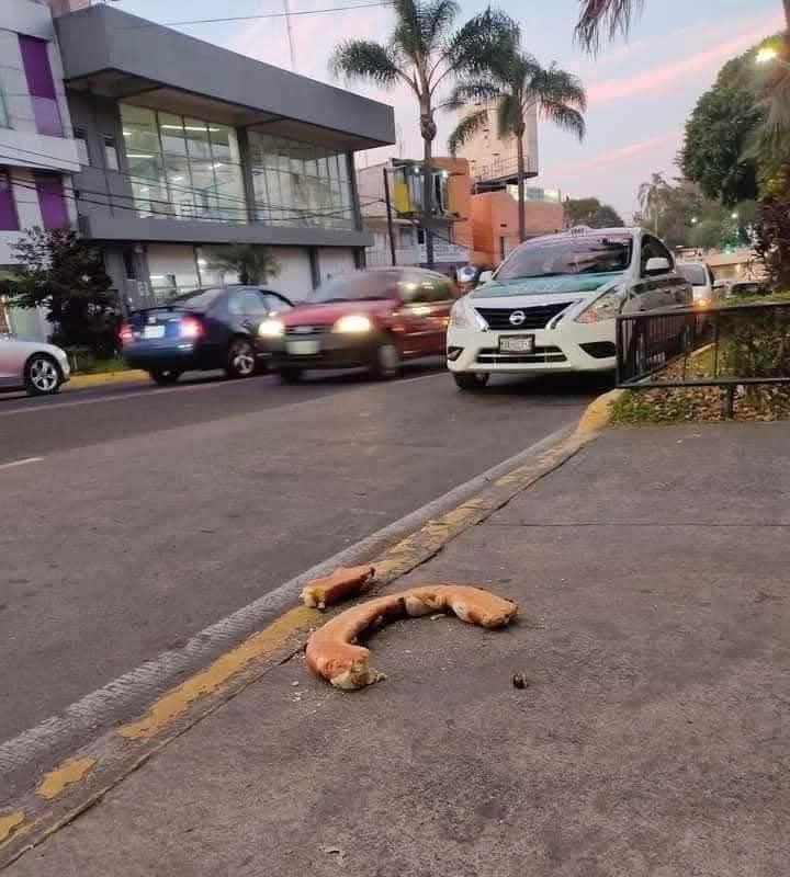 Out of Context Xalapa tweet media