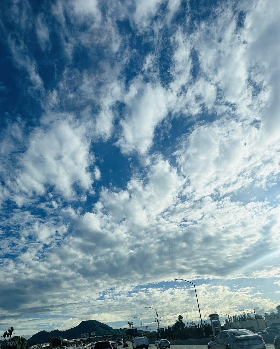 NKaravedas's tweet image. That. Drive. Home.😎
#Blessed #LookUp #Cali