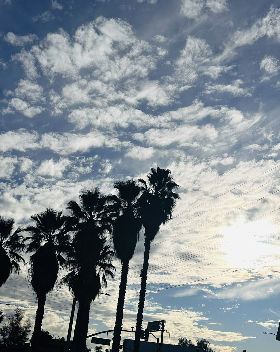 NKaravedas's tweet image. That. Drive. Home.😎
#Blessed #LookUp #Cali