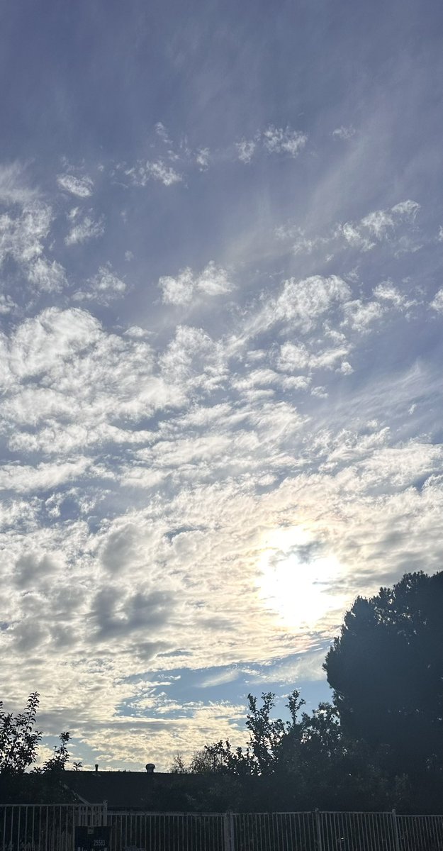 NKaravedas's tweet image. That. Drive. Home.😎
#Blessed #LookUp #Cali