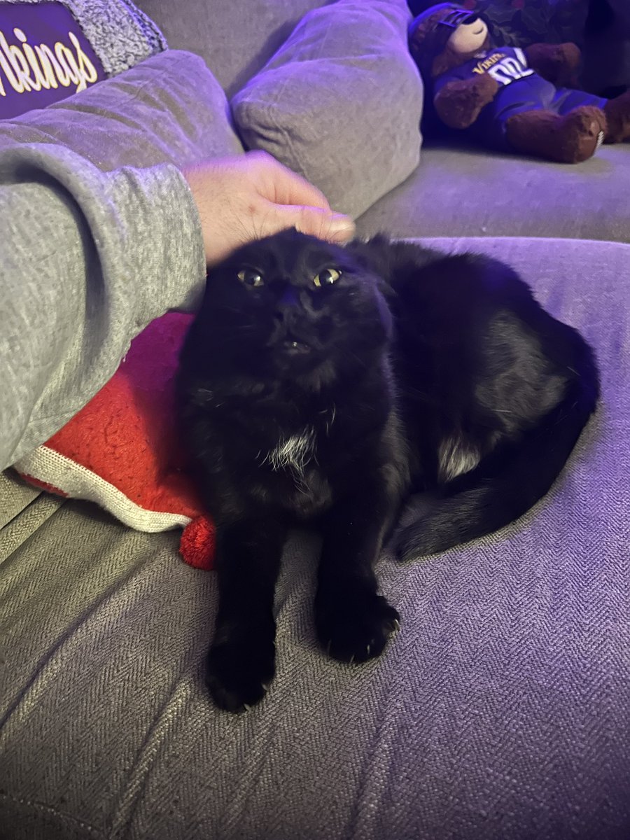 hearscopes's tweet image. fart IQ