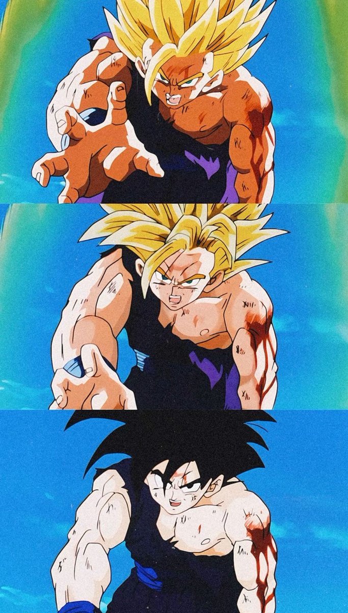 Dragon Ball Daily (@dbzdaily_) on Twitter photo 