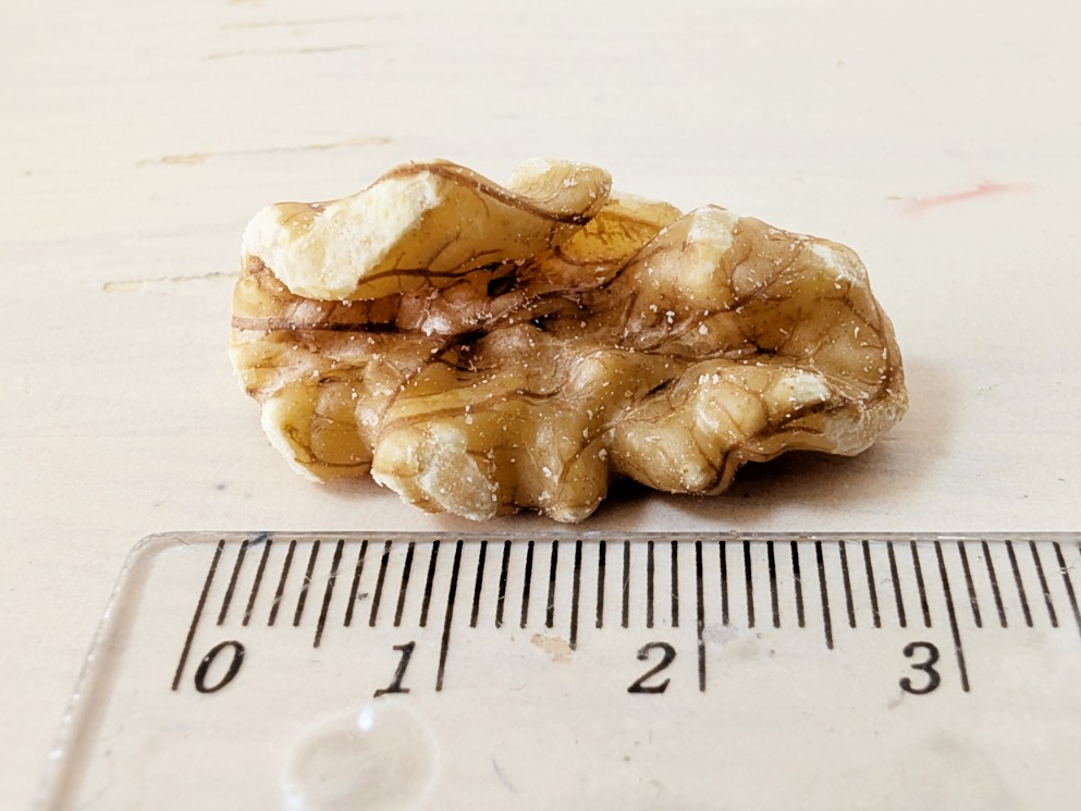 ひで🗨️ tweet media