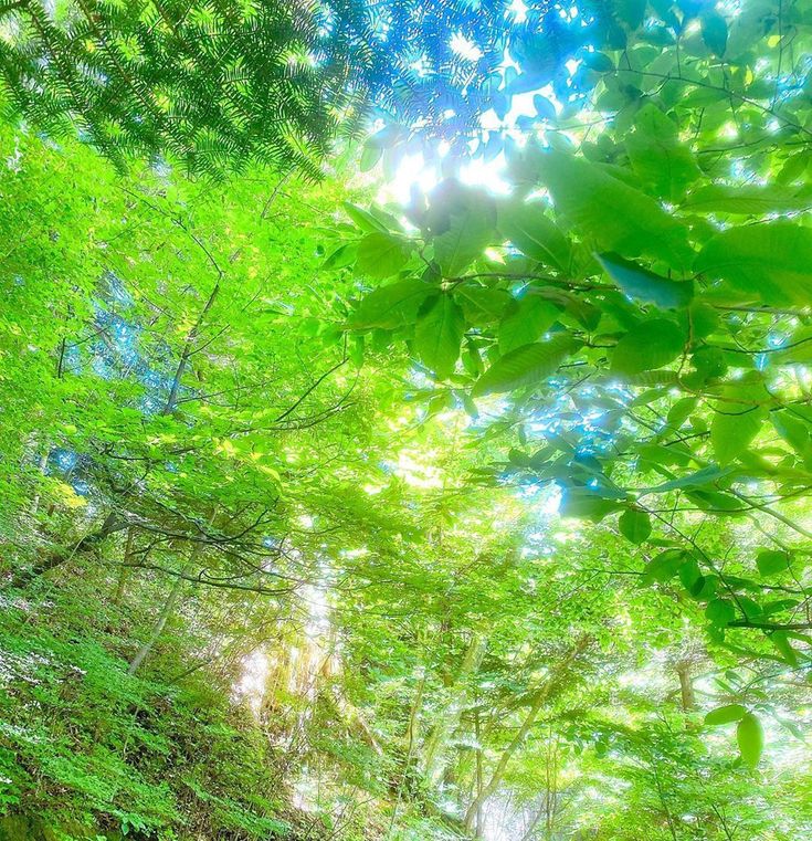 2026年　Mamiラジ一曲目は

岡本真夜さんのtomorrow🌱

明日はくるよ君のために～🎵

#Mamiラジ
#FM802