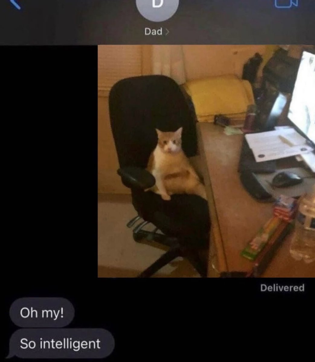 RespectfulMemes's tweet image. 