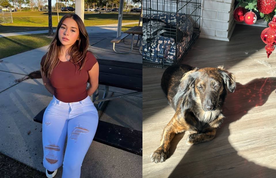 Official Smol tweet media