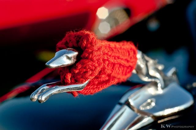 robpetrozzo's tweet image. There’s an amazing niche for everyone and everything on the internet.

The one I found today: tiny knitted sweaters for car hood ornaments.
