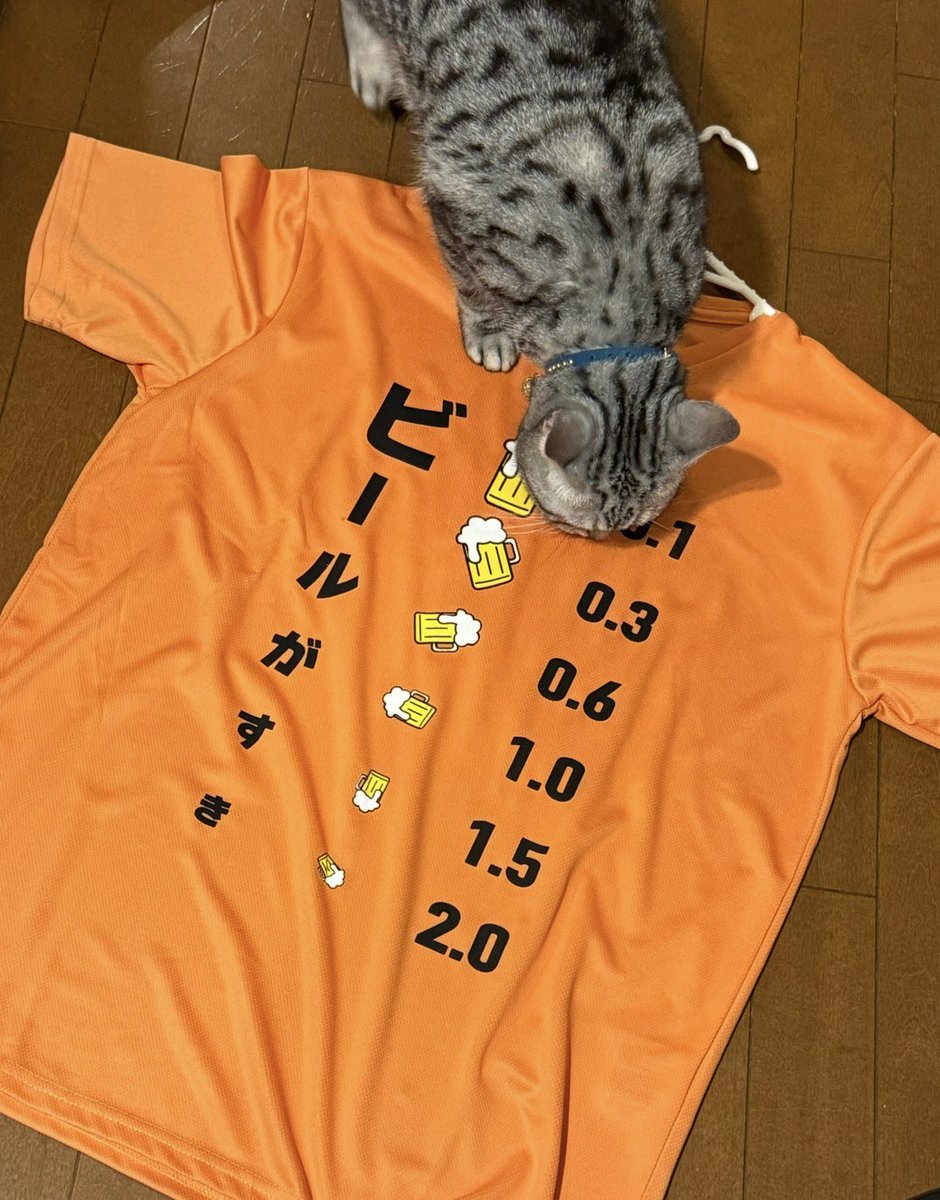 mimi( ◔︎㉦◔︎ ) (@mimi_mimi250) / Posts / X